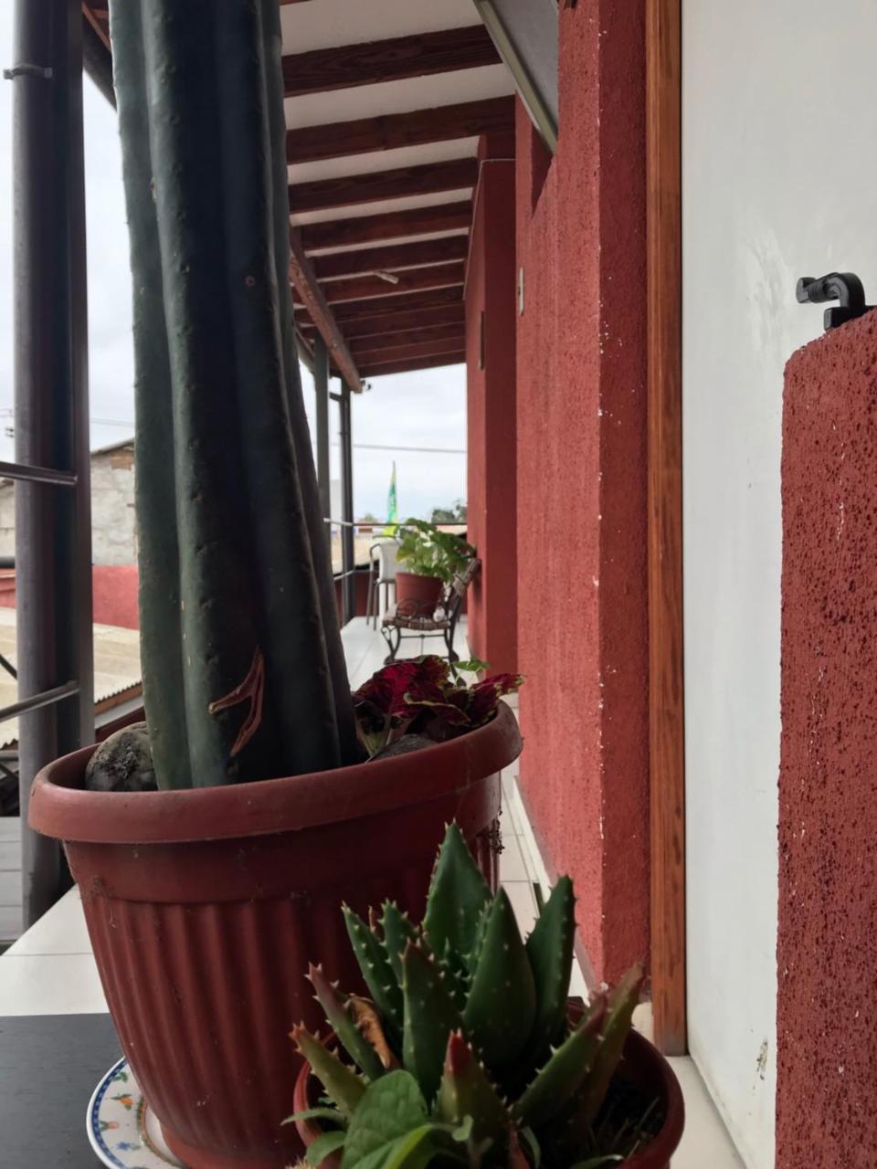 Hostal Avenue Ла-Серена Экстерьер фото
